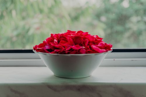 Free Aesthetic arrangement of red rose petals in a white bowl by the window, creating a vibrant natural display. Stock Photo