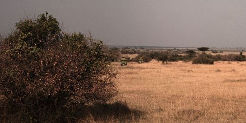 Free Approaching Safari Vehicles Stock Photo