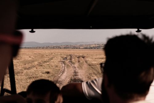 Free Passenger View of the Safari Trail Stock Photo