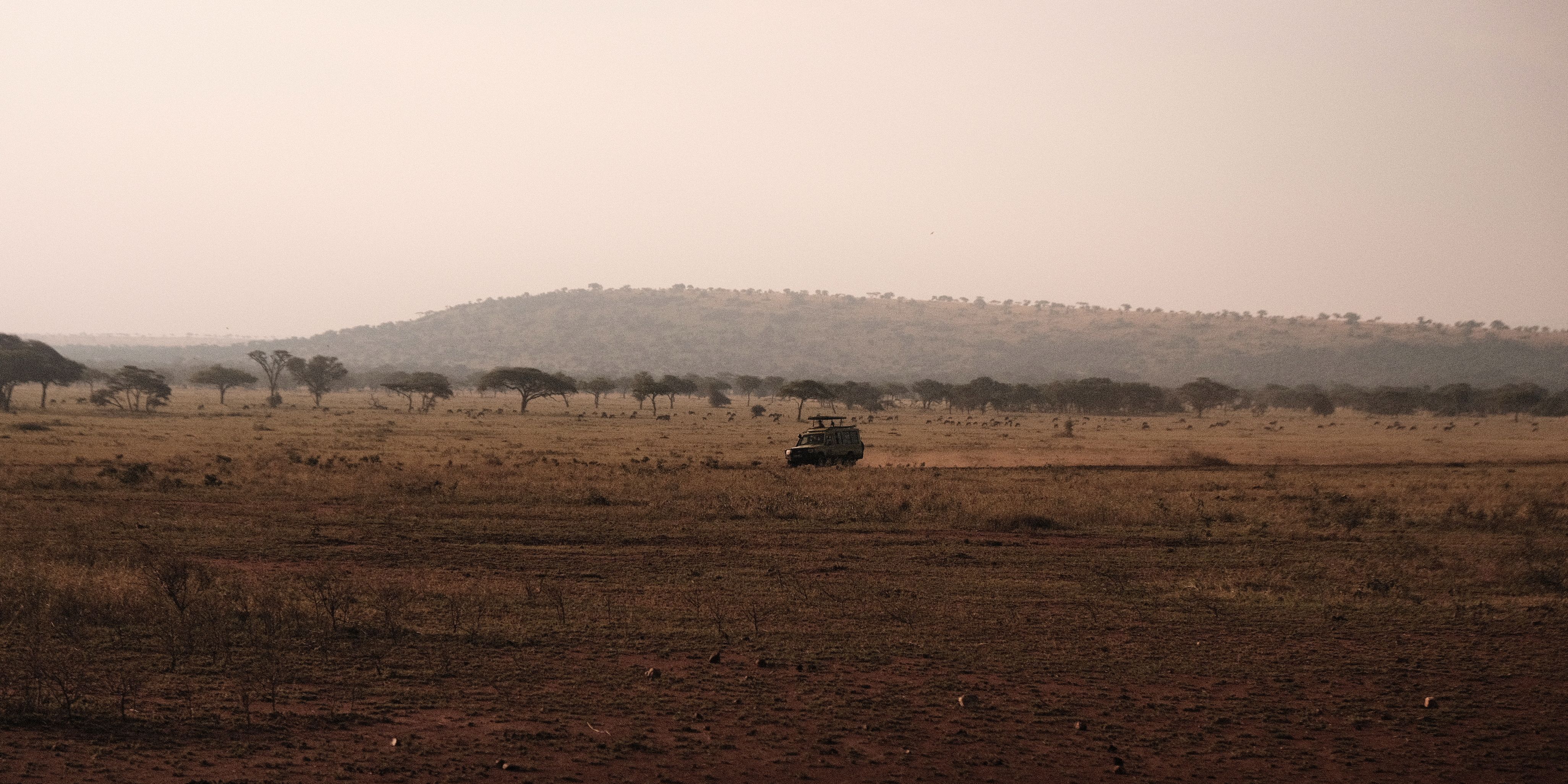 A safari vehicle traverses the vast Mara landscape under the soft early morning light.