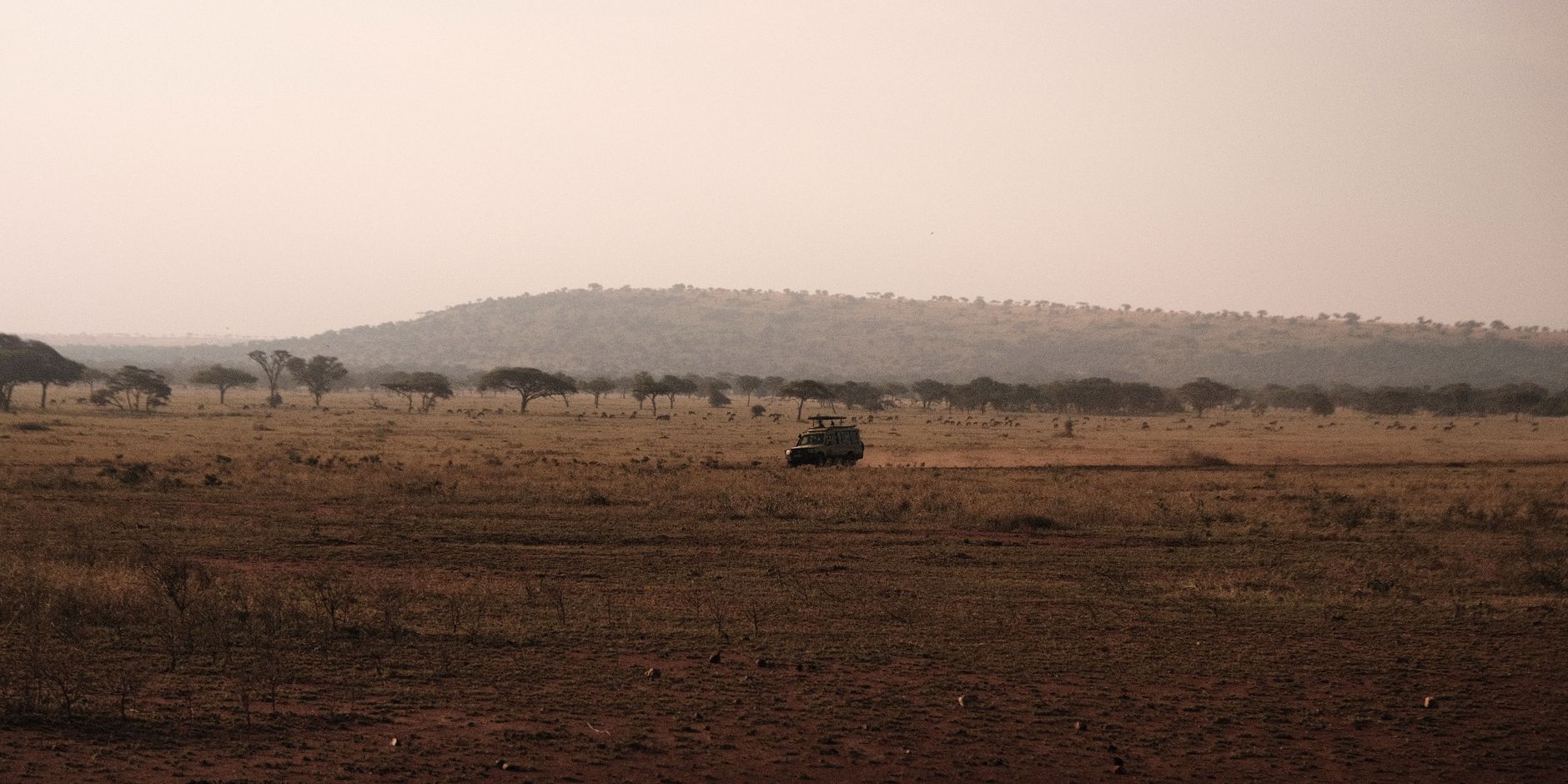 A safari vehicle traverses the vast Mara landscape under the soft early morning light.