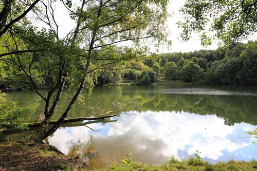 Free Tranquil lake surrounded by lush greenery and reflecting clear blue skies, perfect for nature lovers. Stock Photo