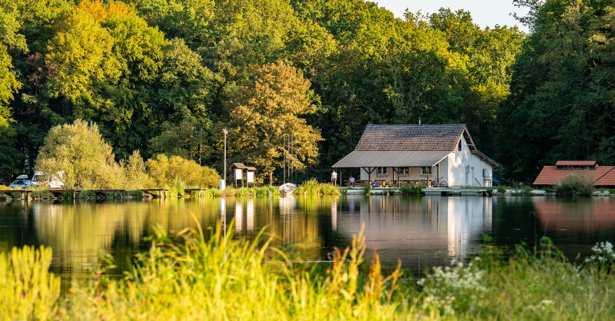 Europarcs : Réservation et Prix 2026