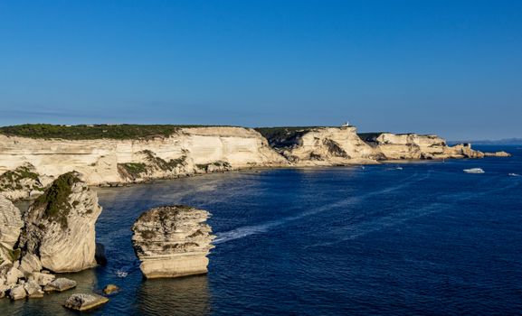 Bonifacio