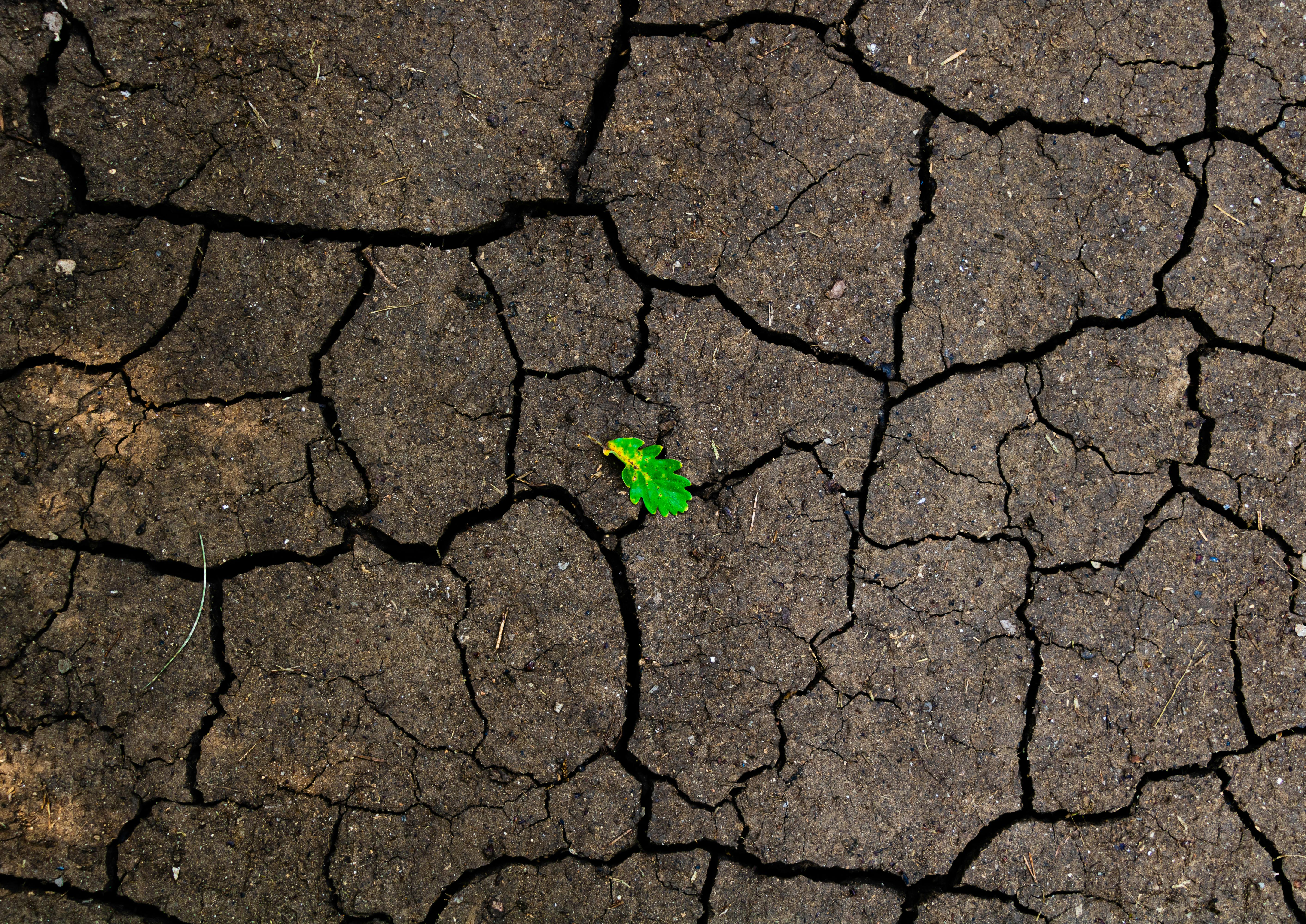 corporate governance esg esg what is governance — Photo by Mikael Dubarry on Pexels