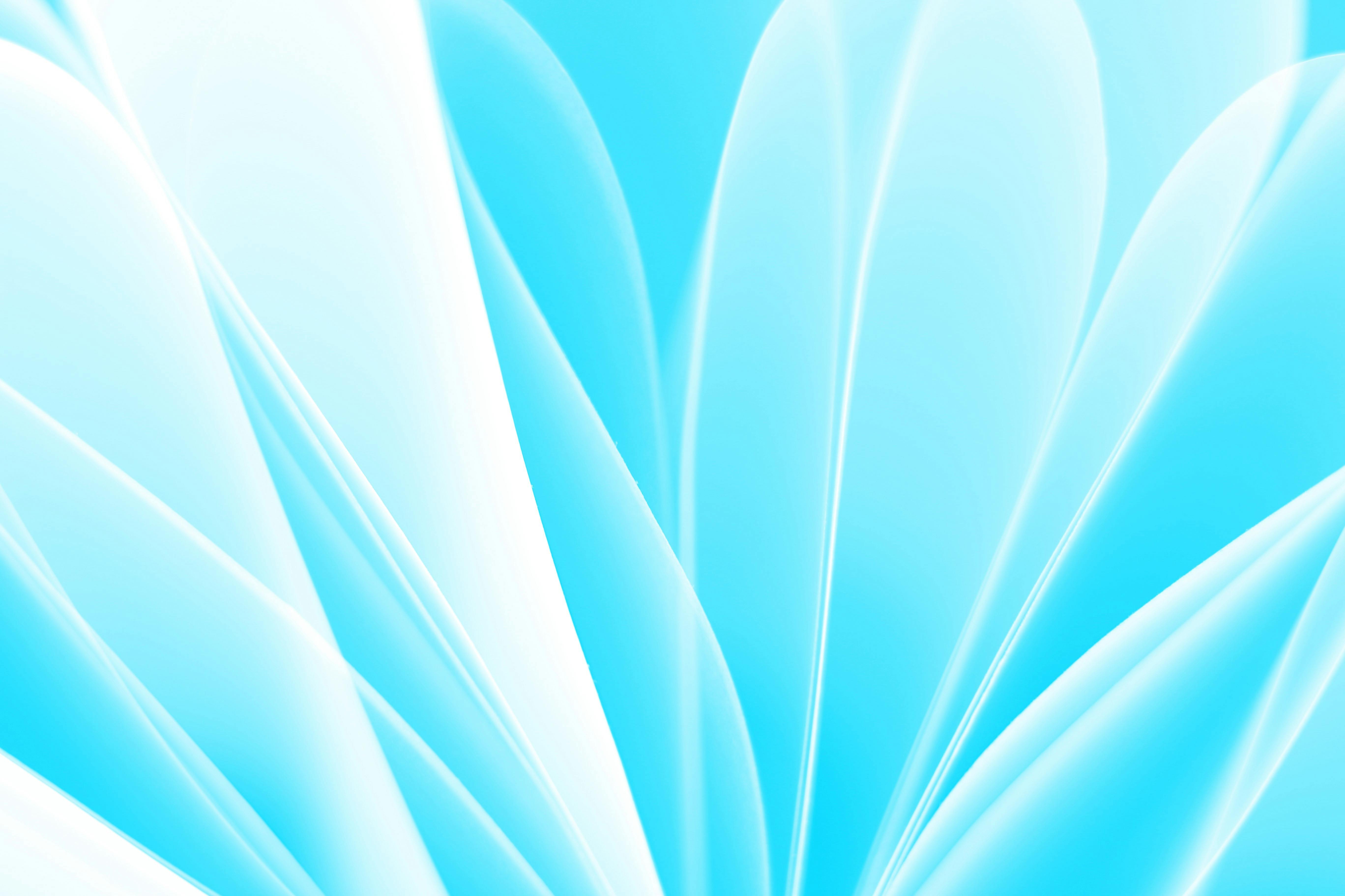 gratis Elegant abstract ontwerp met blauwe en witte vloeiende patronen voor moderne achtergronden. Stockfoto