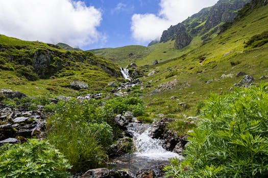 Pyrénées-Orientales