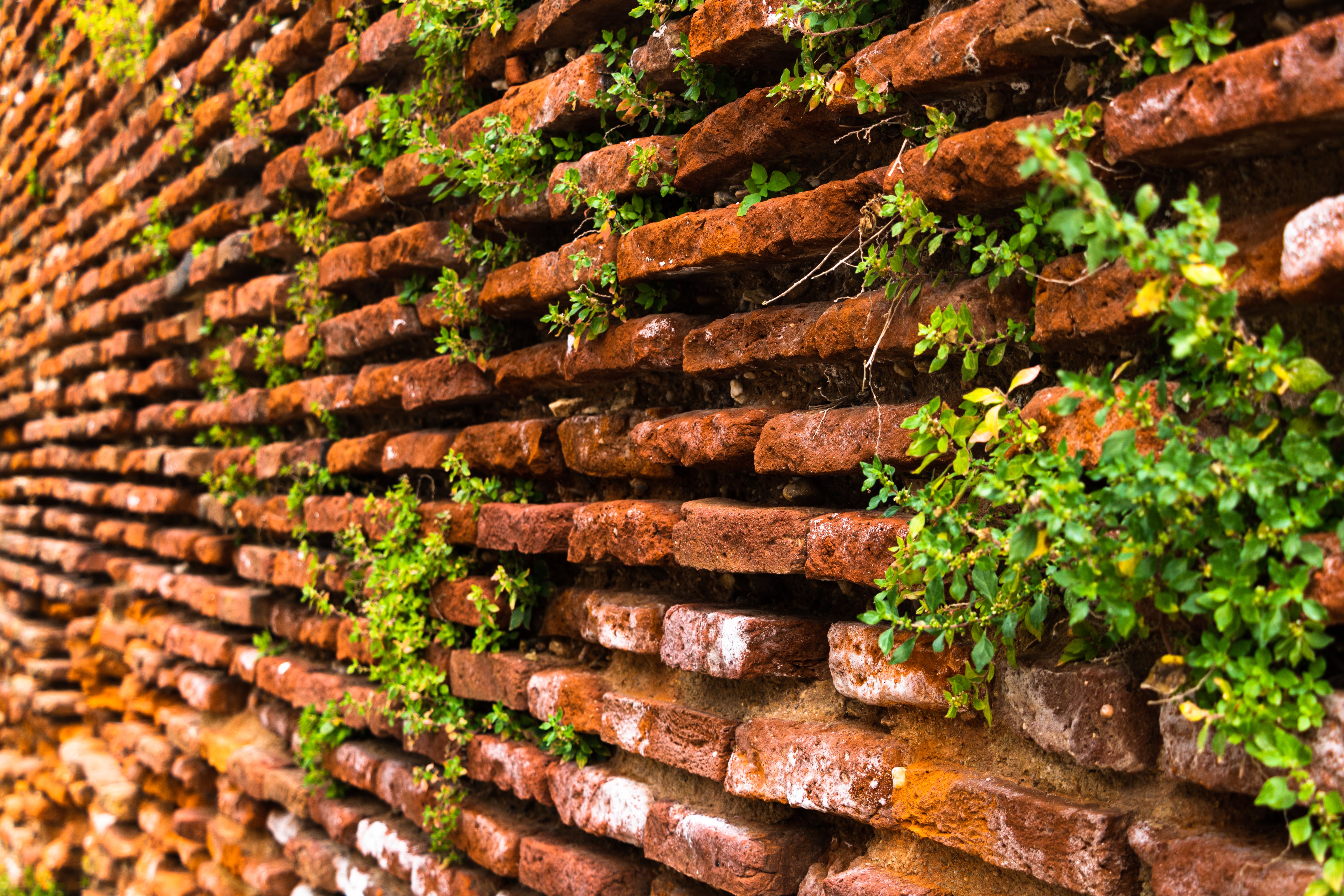 nettoyer un mur extérieur