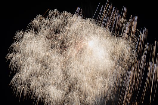 Photo by Mạnh Hùng