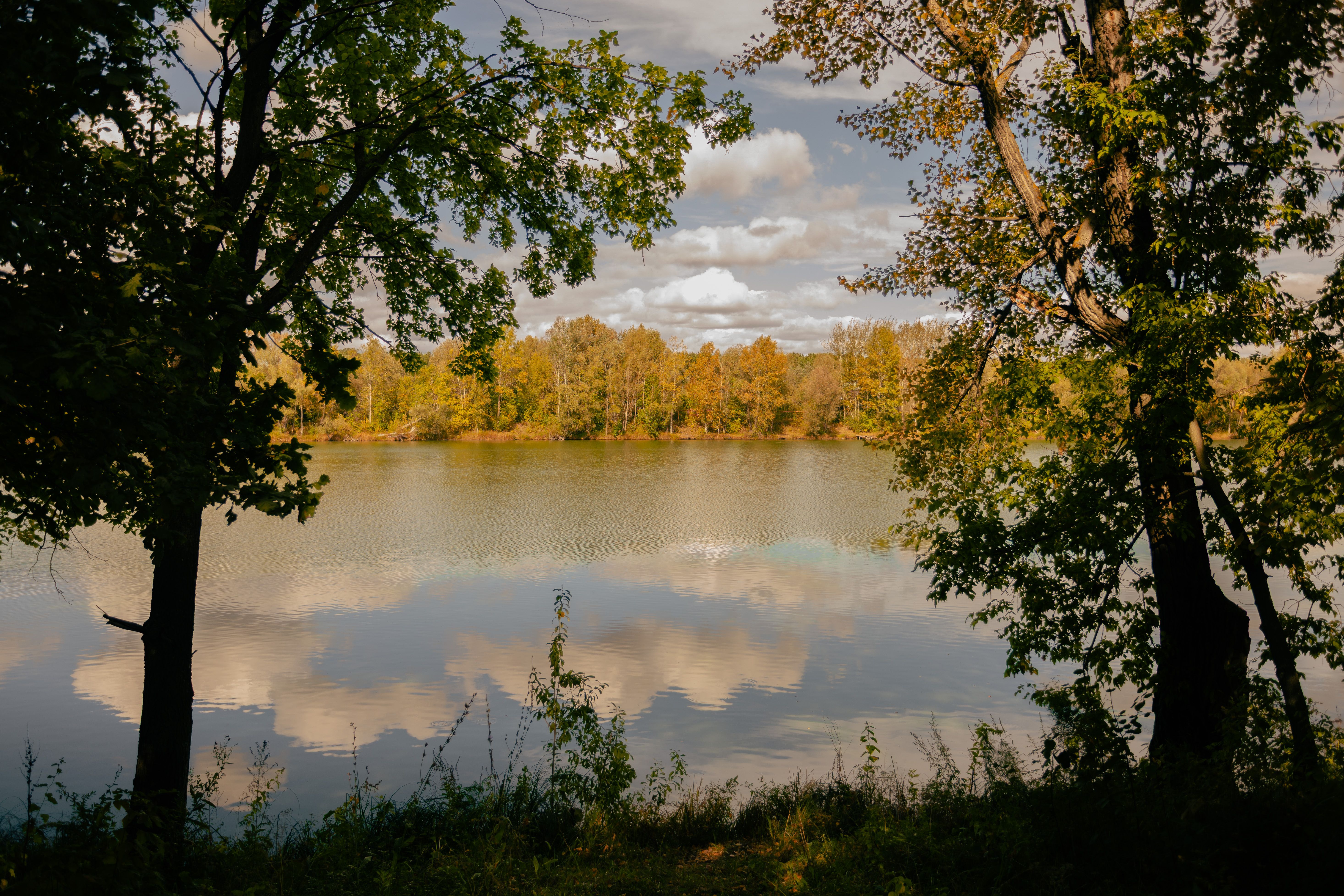 Tranquil Lake Scene with Autumn Foliage · Free Stock Photo