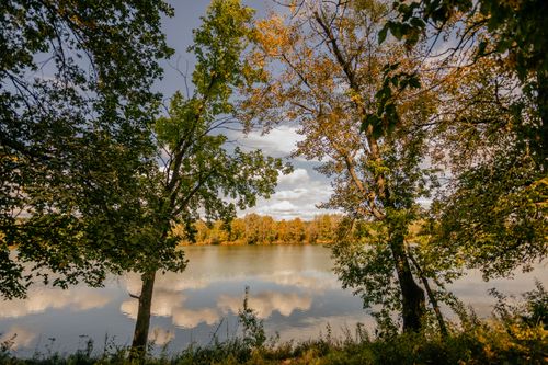 Free Serene lake scene with autumn trees reflecting on the water under a bright, cloudy sky. Stock Photo