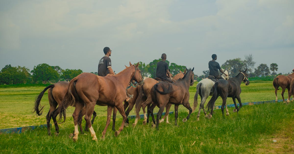 職場動起來 嘉義市 i嘉科技運動會 活力組點燃健康熱潮