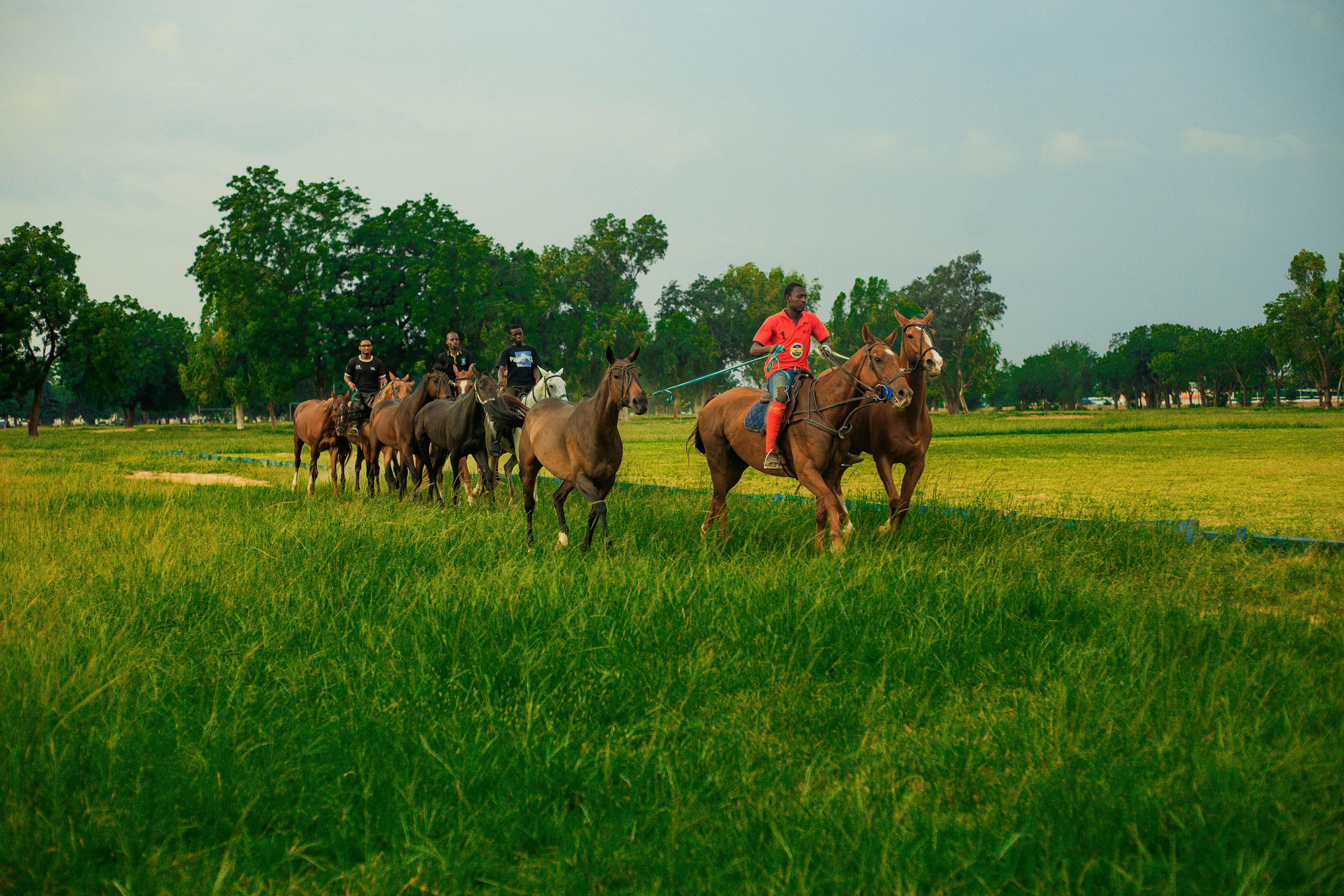 職場動起來 嘉義市 i嘉科技運動會 活力組點燃健康熱潮