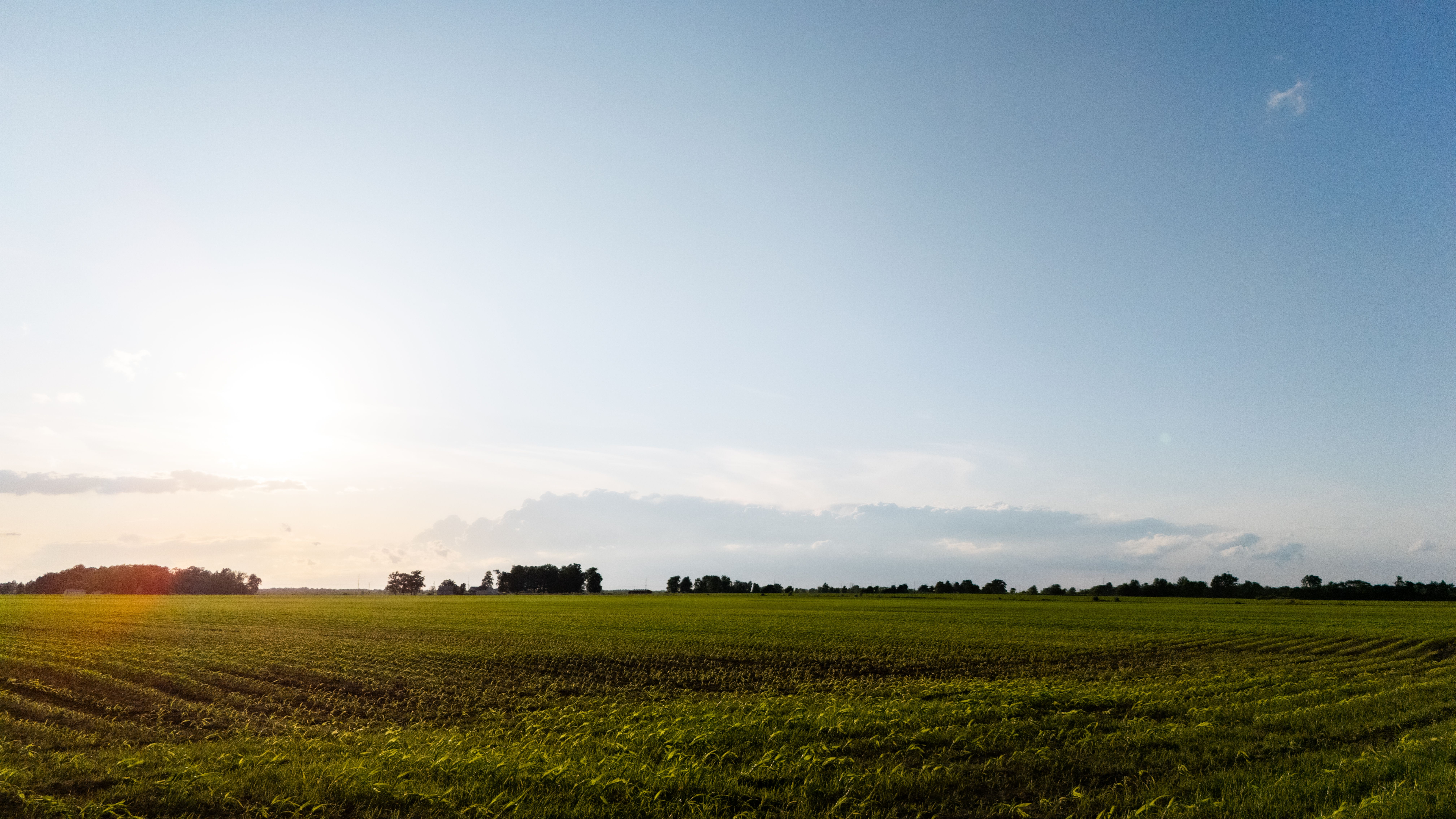 Expansive Agricultural Field under Clear Sky · Free Stock Photo