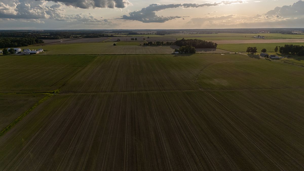 DIPON Group — Agriculture