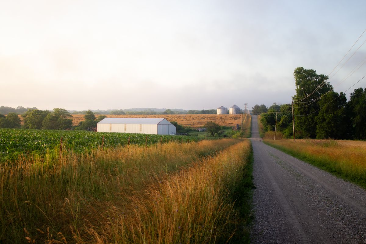 Rural farm road leading past fields, a barn, and grain silos at sunset