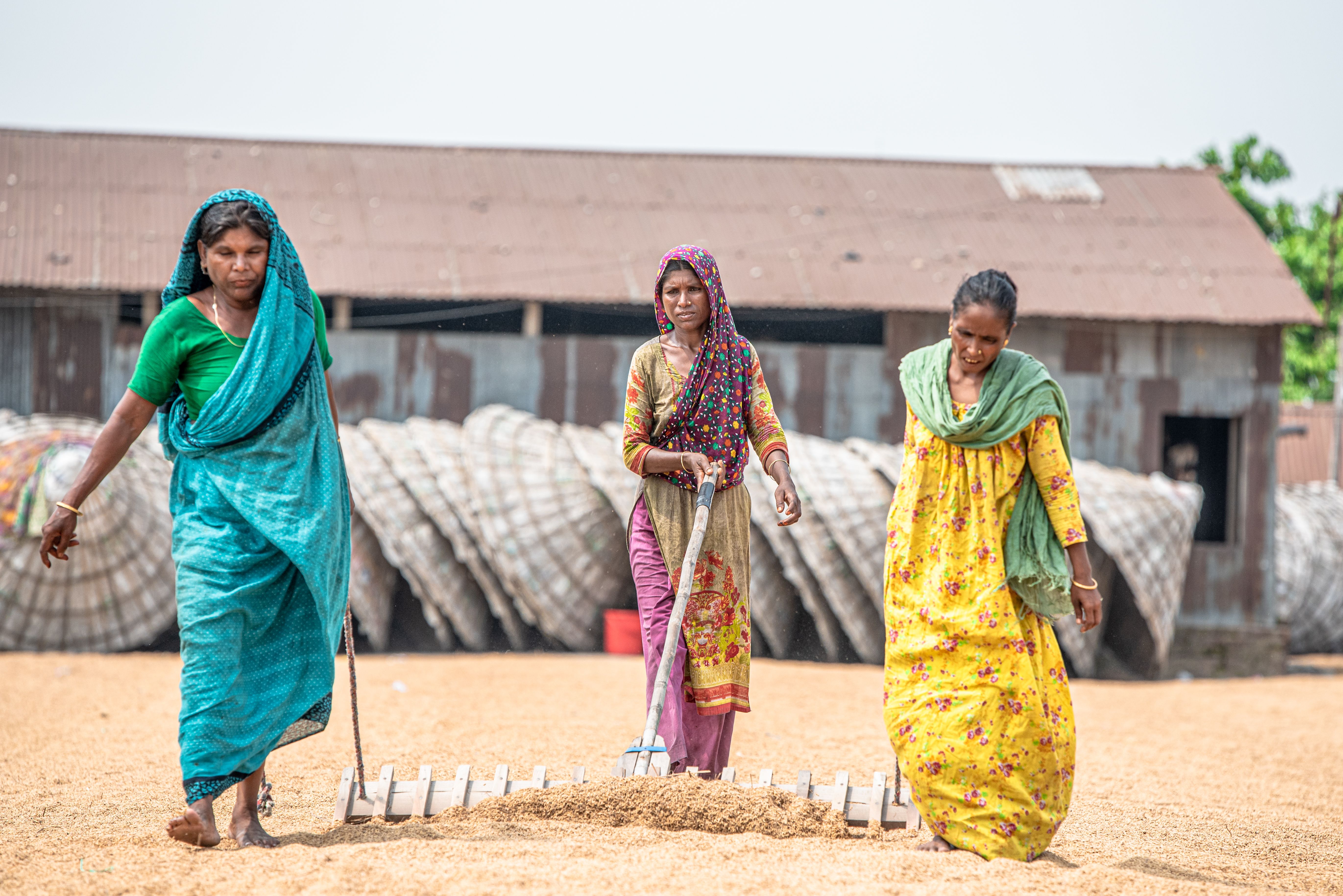 Women Farmers Working on a Rural Farm · Free Stock Photo