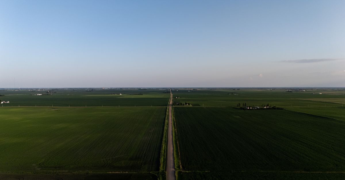Agriculture fields