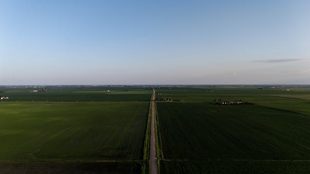 A panoramic aerial view of expansive green agricultural fields stretching to the horizon under a clear sky.