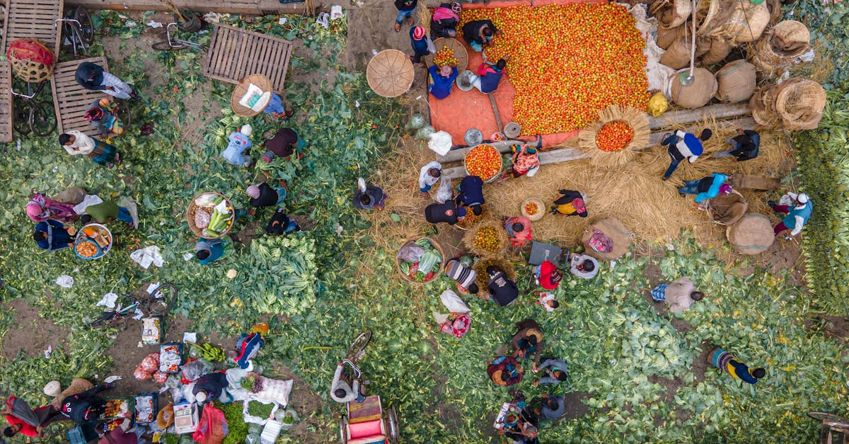 A vibrant aerial scene capturing the bustling activity of an outdoor vegetable market filled with people and vibrant produce.