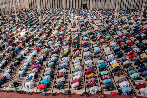 Free A large group of people engaged in prayer inside a mosque, viewed from above. Stock Photo