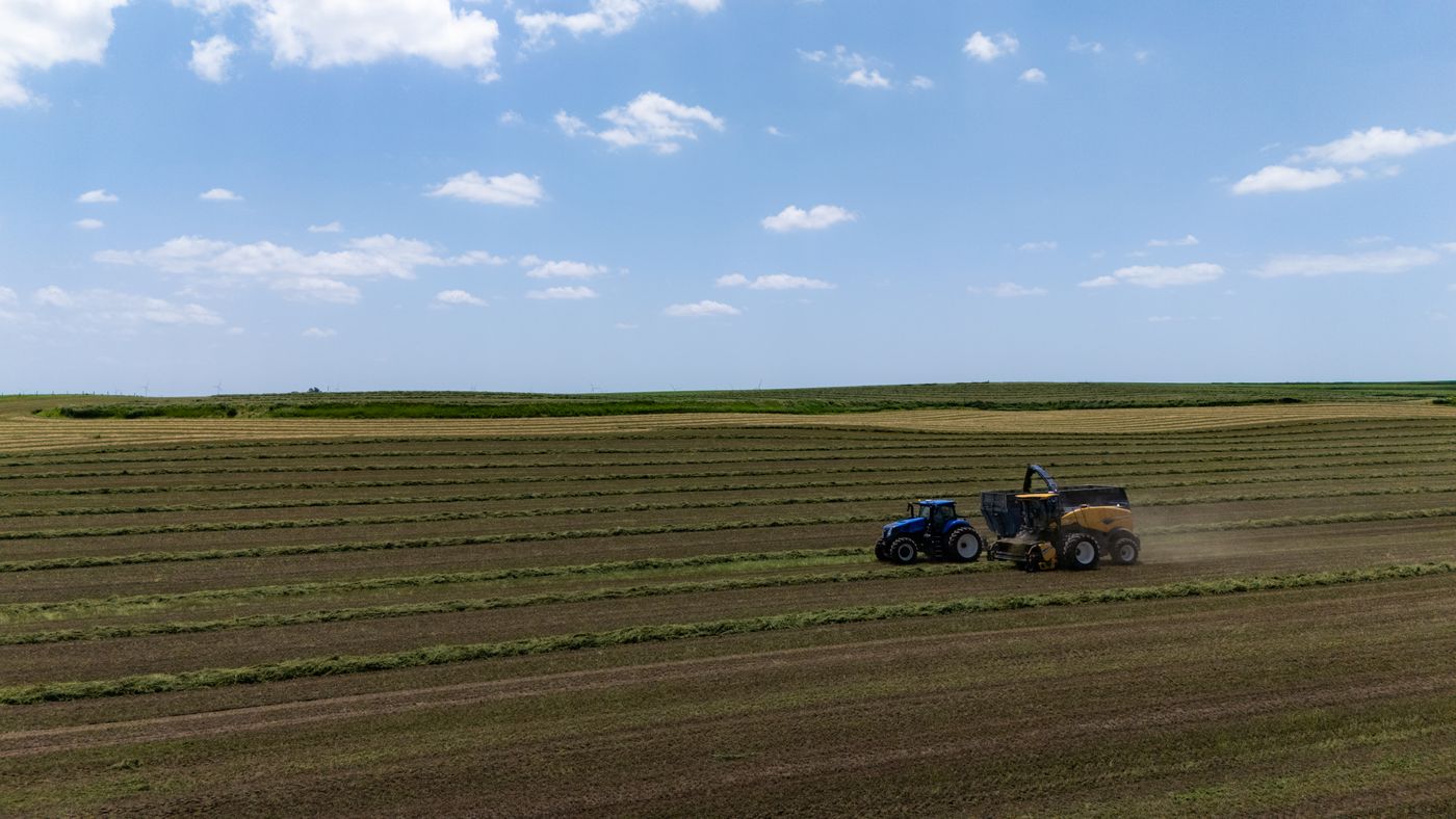 Crop Production