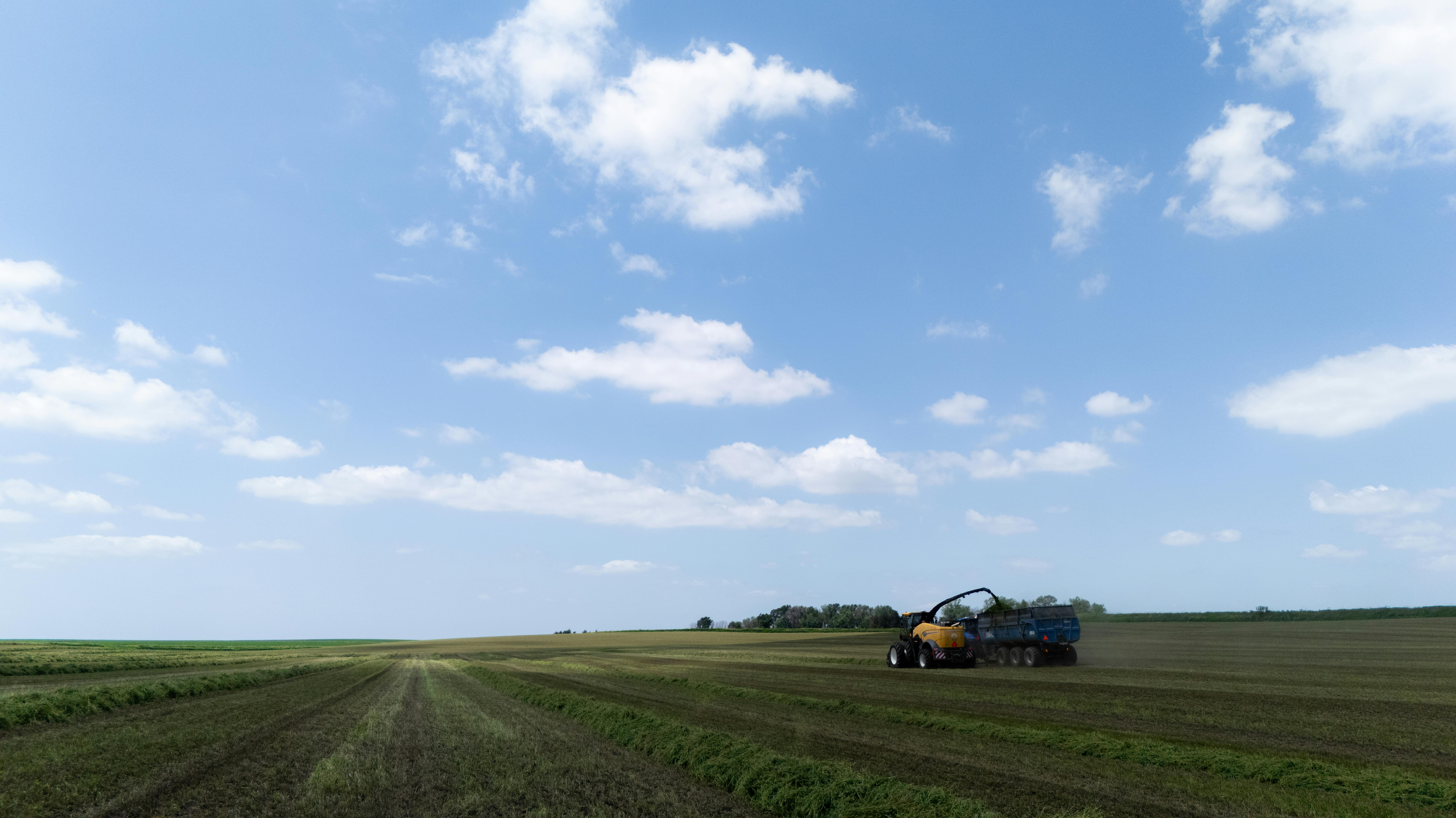 A tractor is harvesting corn silage under a clear blue sky in an expansive farmland.