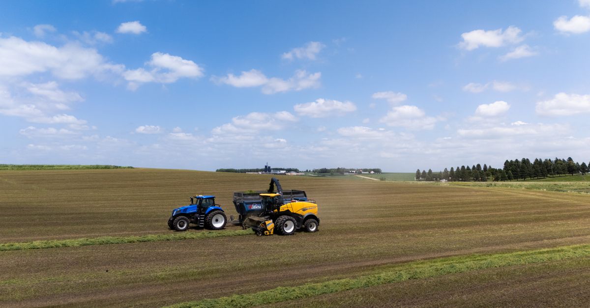 A vibrant scene of tractors harvesting a field under a clear blue sky on a summer day.