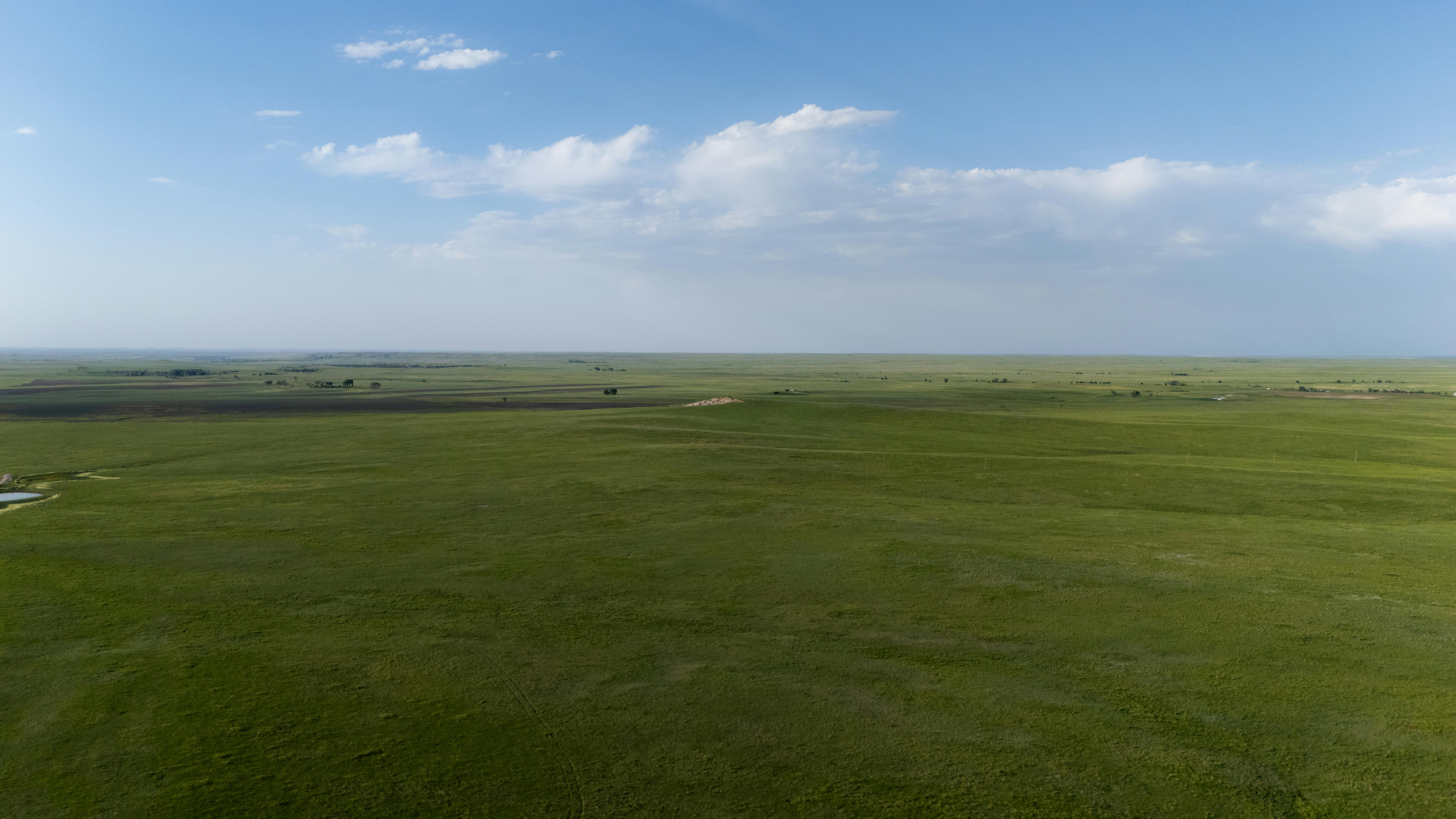 A wide view of sprawling grasslands with a clear blue sky, ideal for nature lovers.