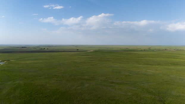 A wide view of sprawling grasslands with a clear blue sky, ideal for nature lovers.