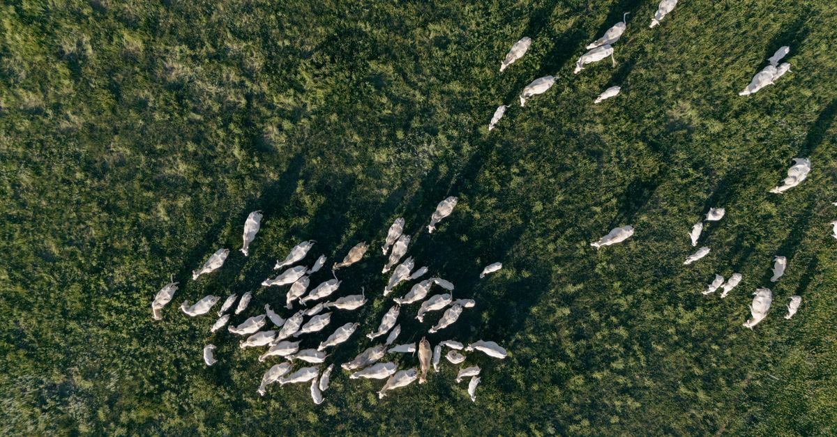 Hustai National Park