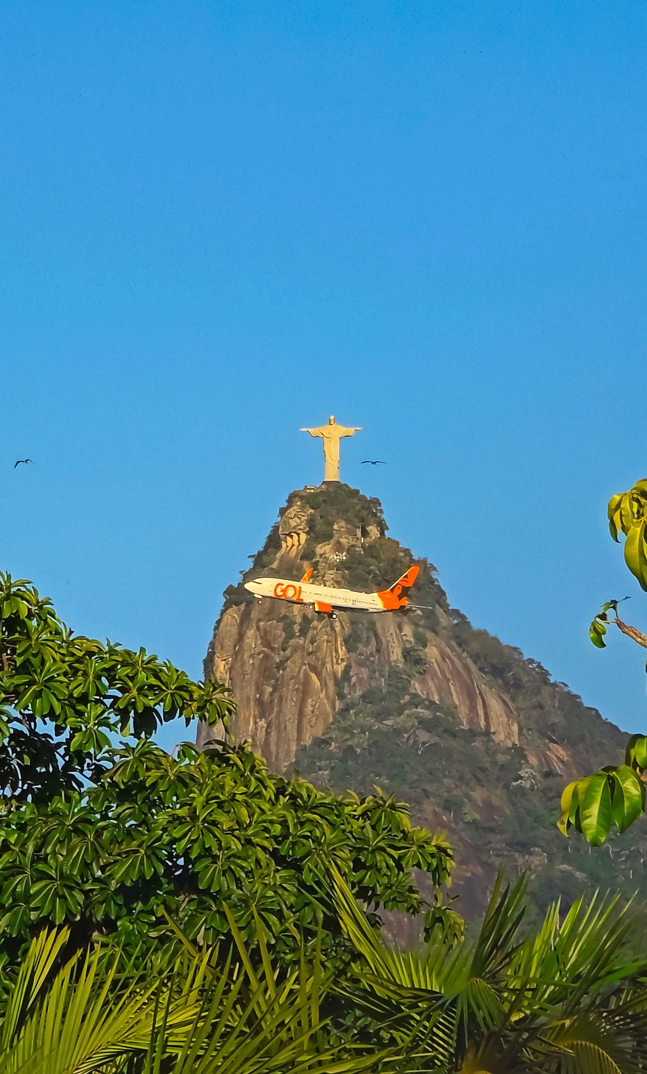 Airplane Flying by Christ the Redeemer in Rio · Free Stock Photo