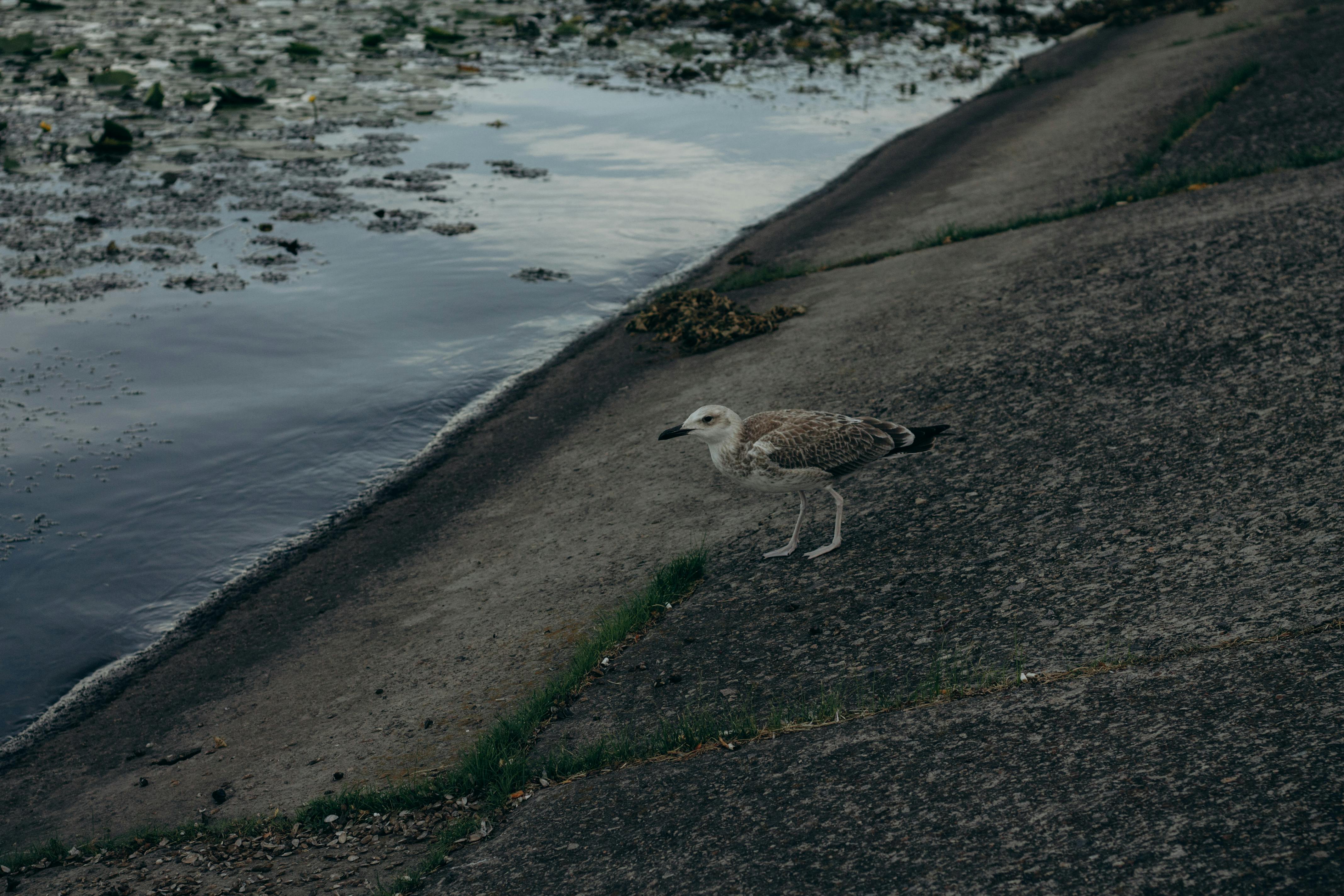 Ann+Rohmer+Body Photos, Download The BEST Free Ann+Rohmer+Body Stock ...