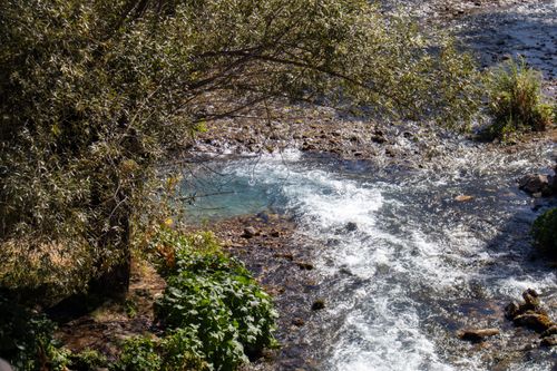 Free Vibrant river in Tunceli, Türkiye with lush greenery, captured on a sunny day. Stock Photo