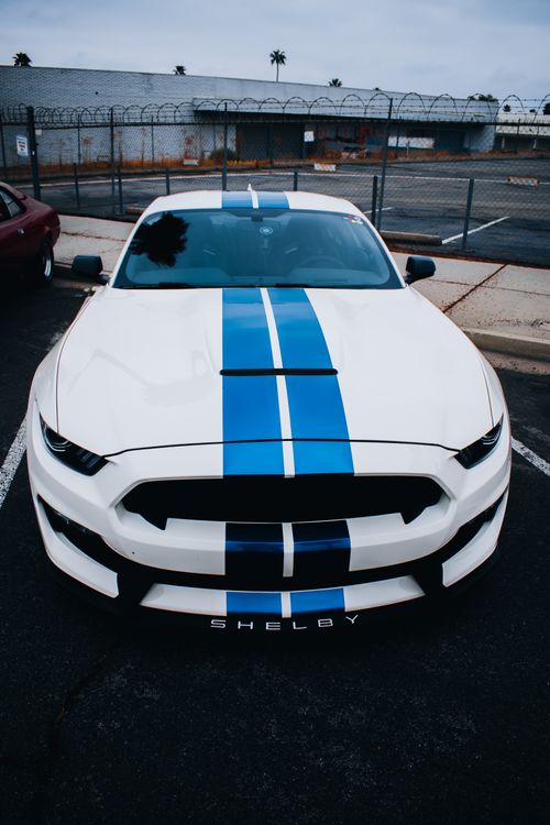 Free Front view of a white Shelby Mustang with blue racing stripes in Los Angeles. Stock Photo