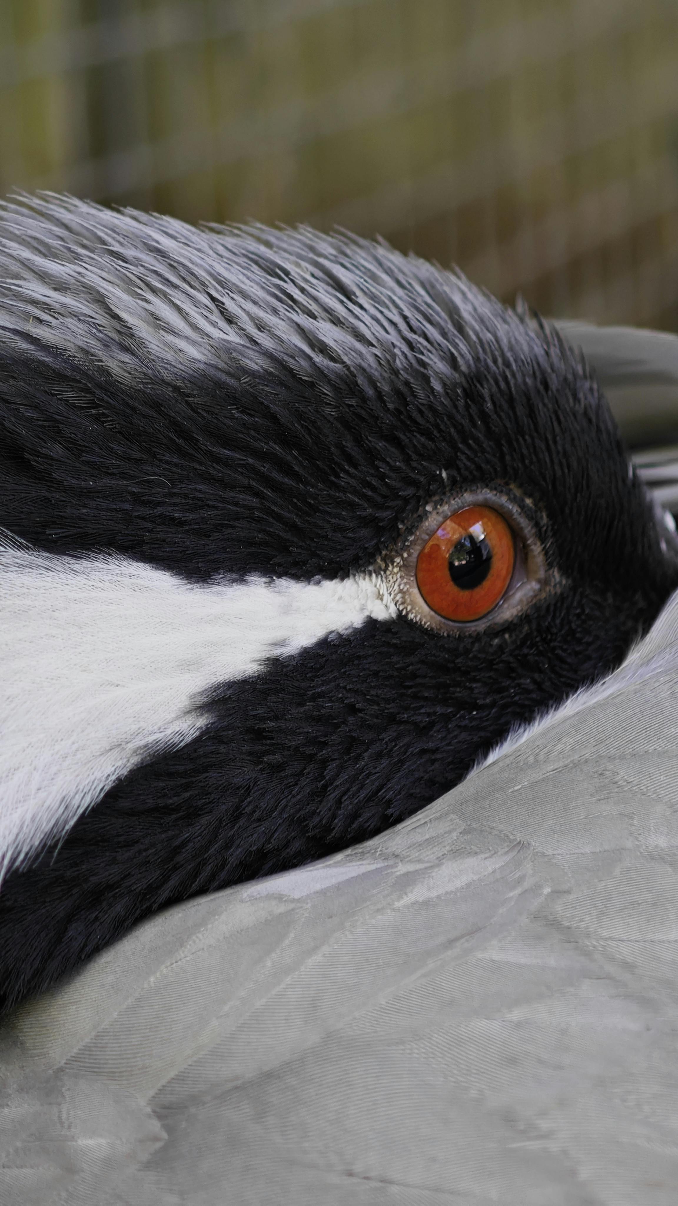 09 08每日星座運勢 處女座｜掌握今天的幸運秘訣