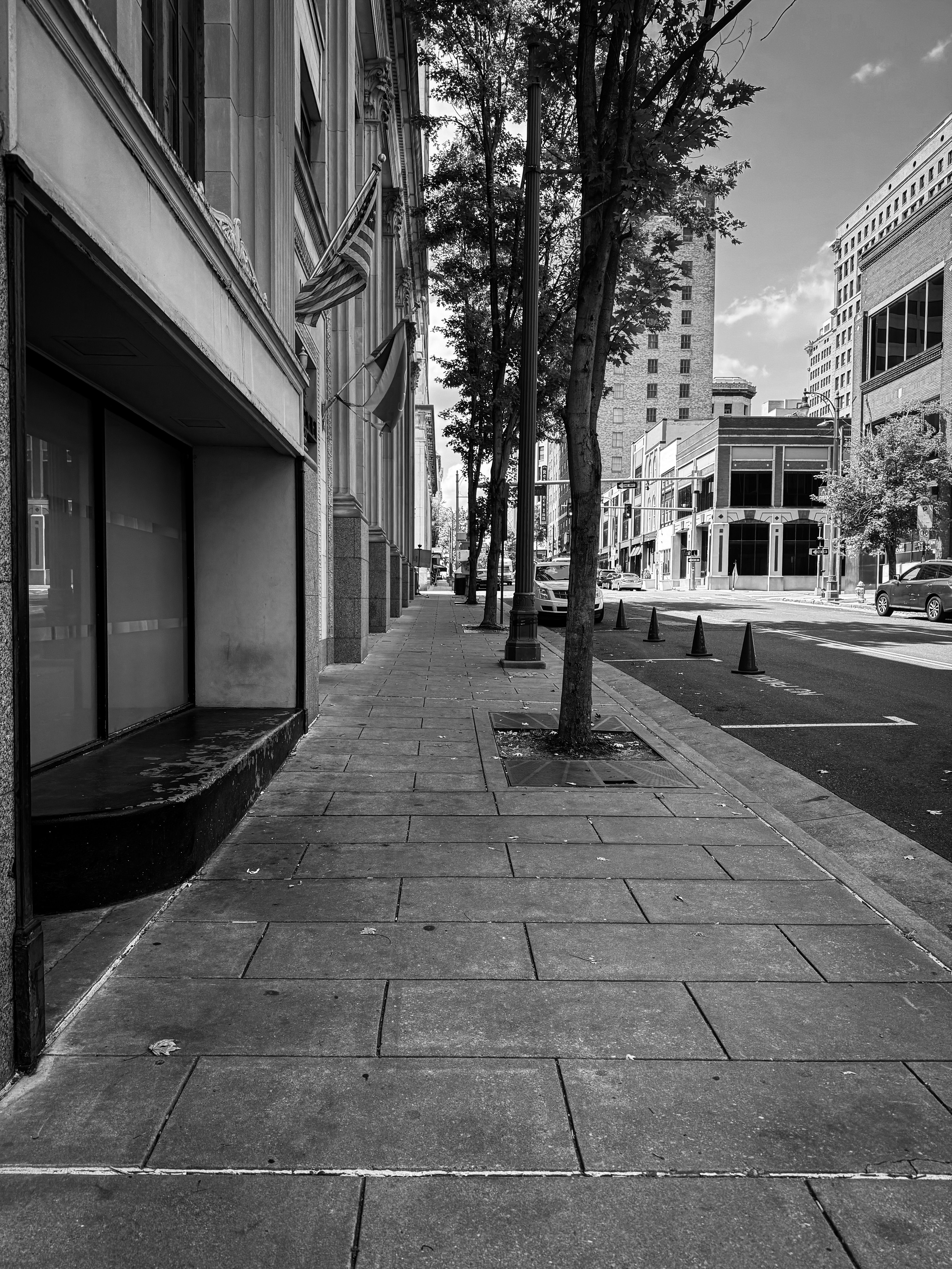 Black and White Urban Street Scene with Trees · Free Stock Photo