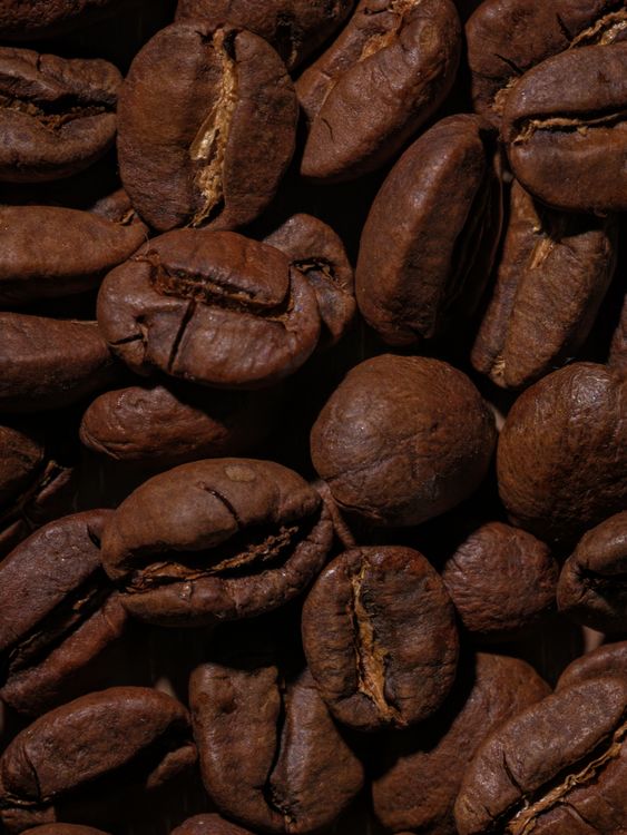 Close-Up Texture of Roasted Coffee Beans · Free Stock Photo