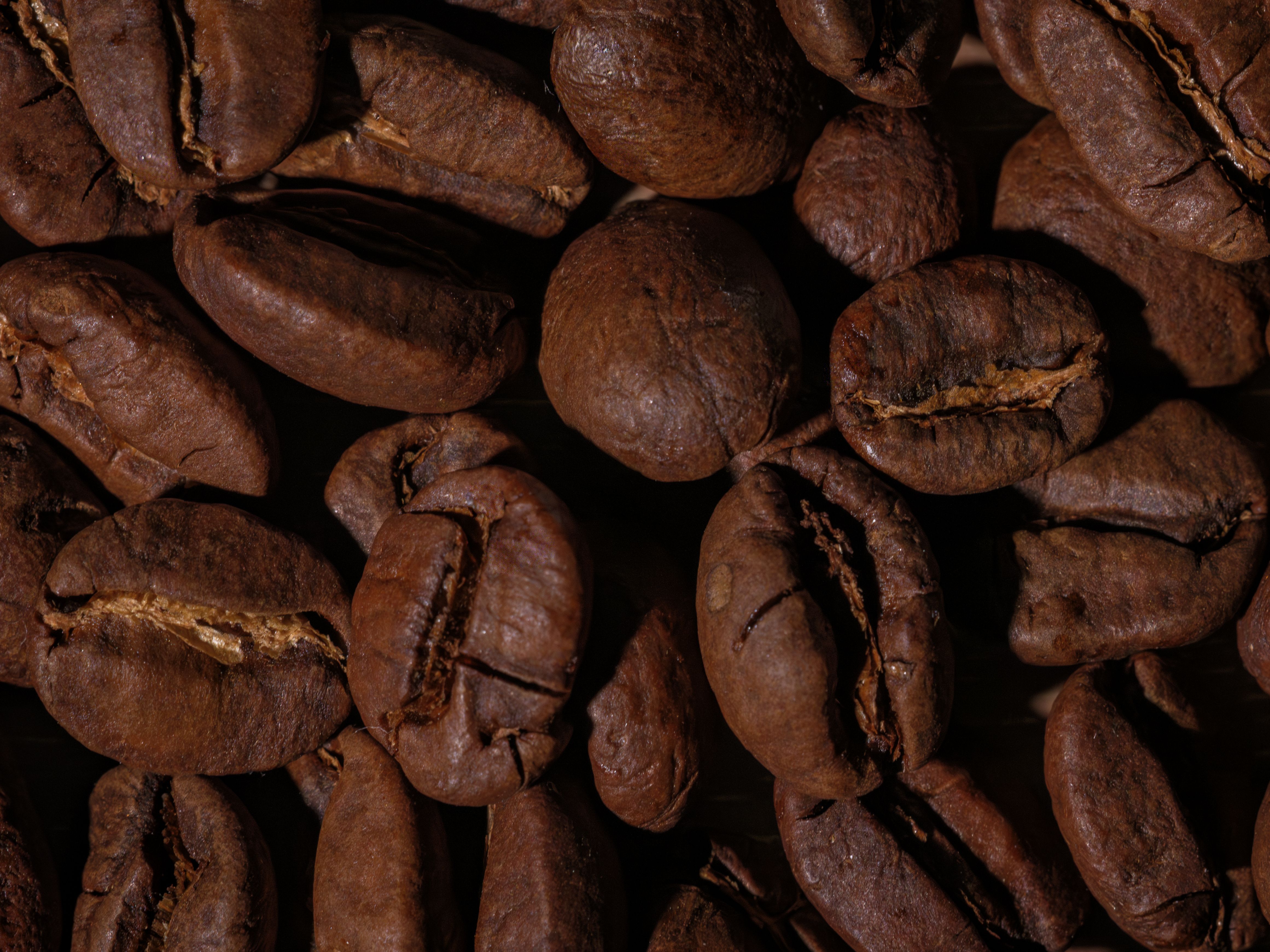 Close-Up of Roasted Coffee Beans Macro Shot · Free Stock Photo