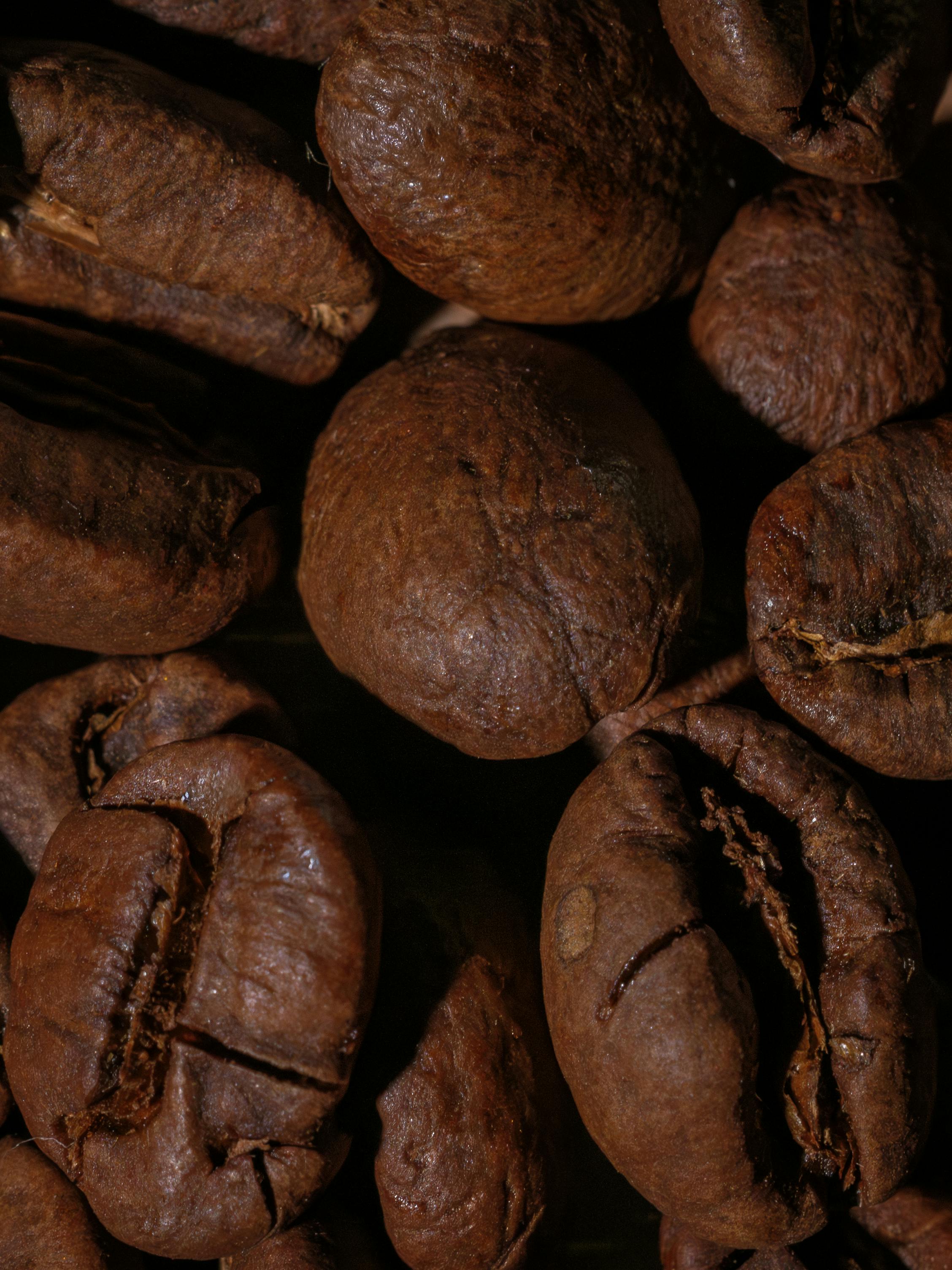 Kostenlos Detaillierte Makrofotografie, die die reiche Textur und die erdigen Töne gerösteter Kaffeebohnen einfängt. Stock-Foto