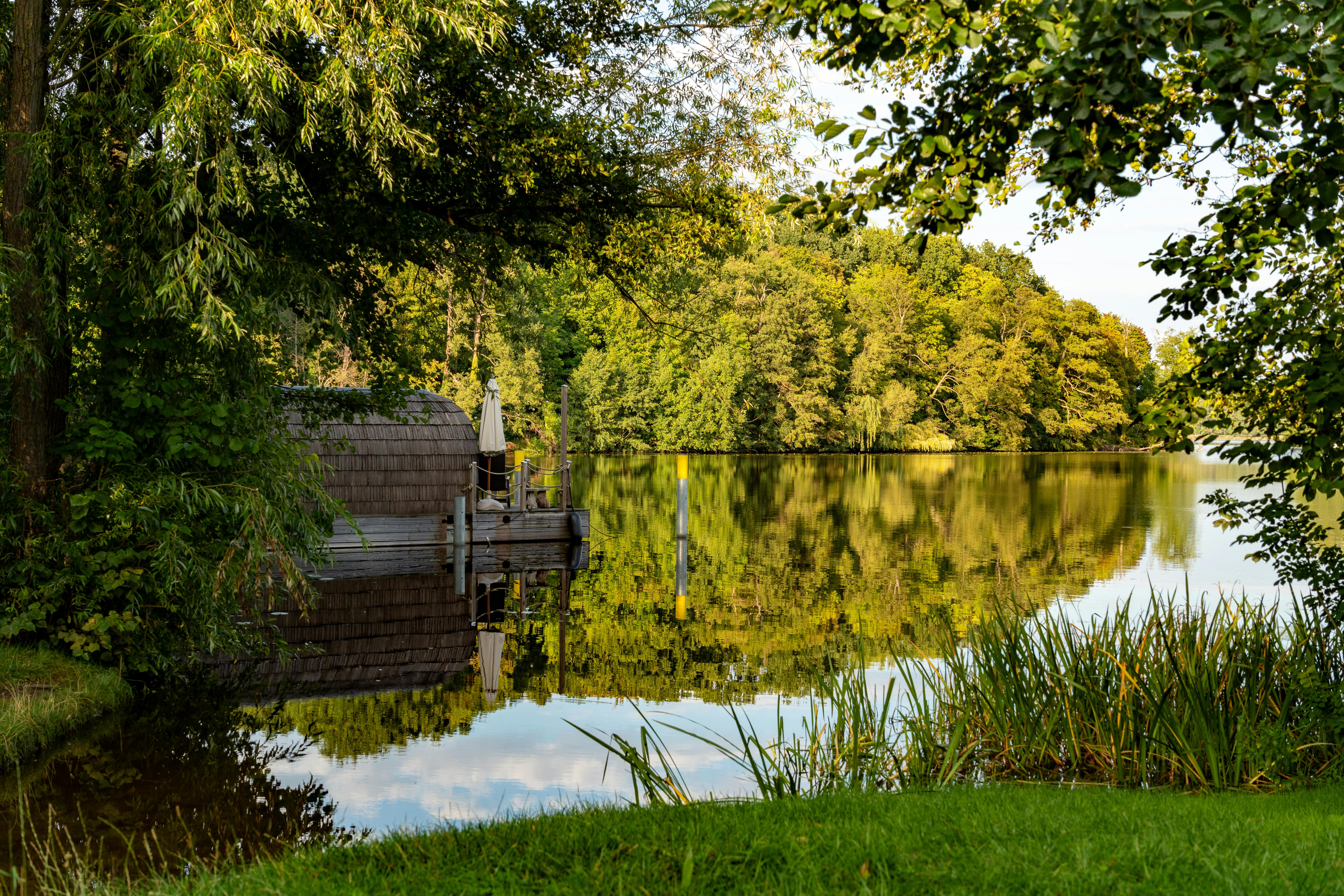 grátis Seeidylle Foto profissional