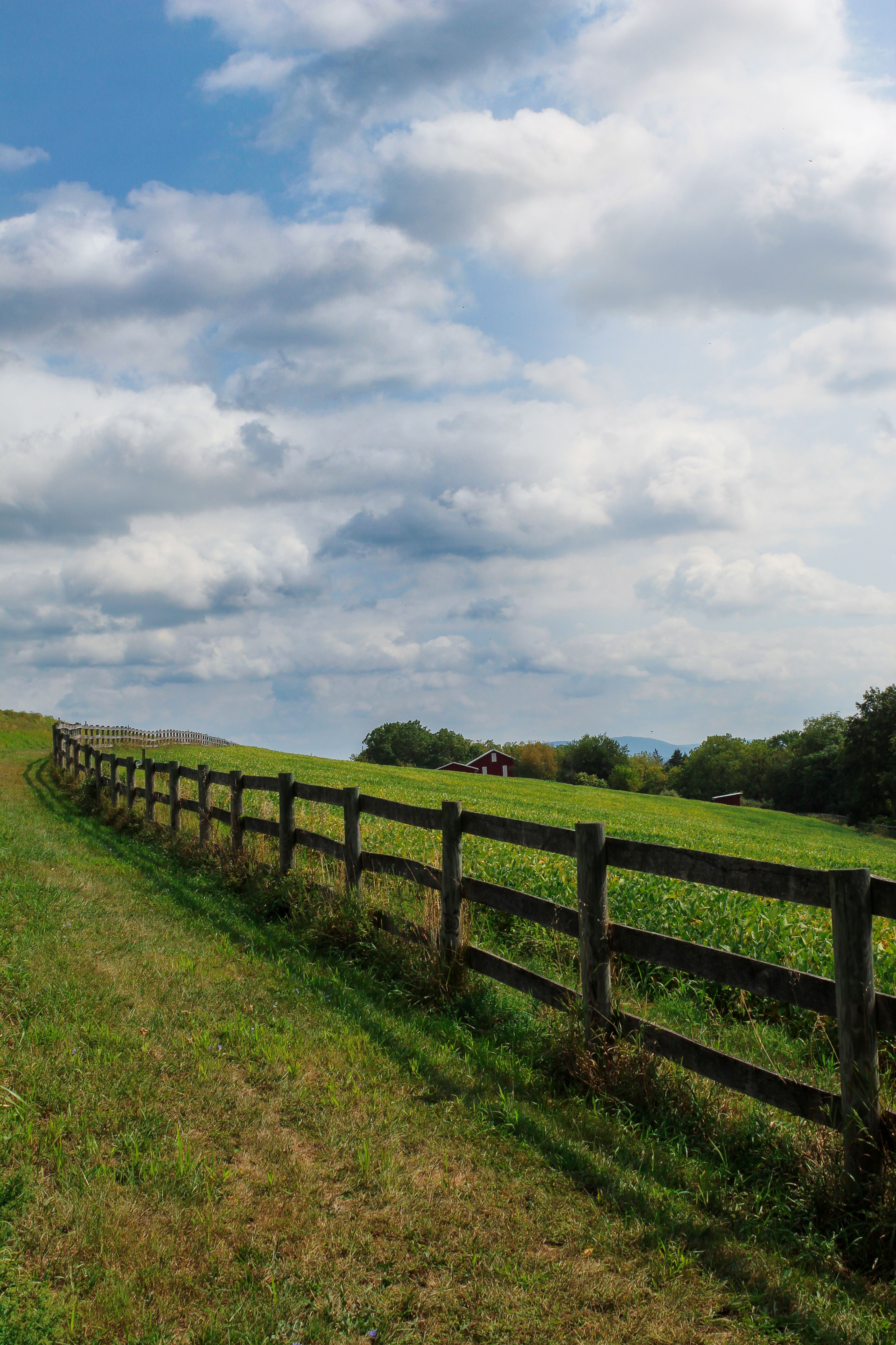 Brown Wooden Fence Across Crop Field Near Body of Water · Free Stock Photo