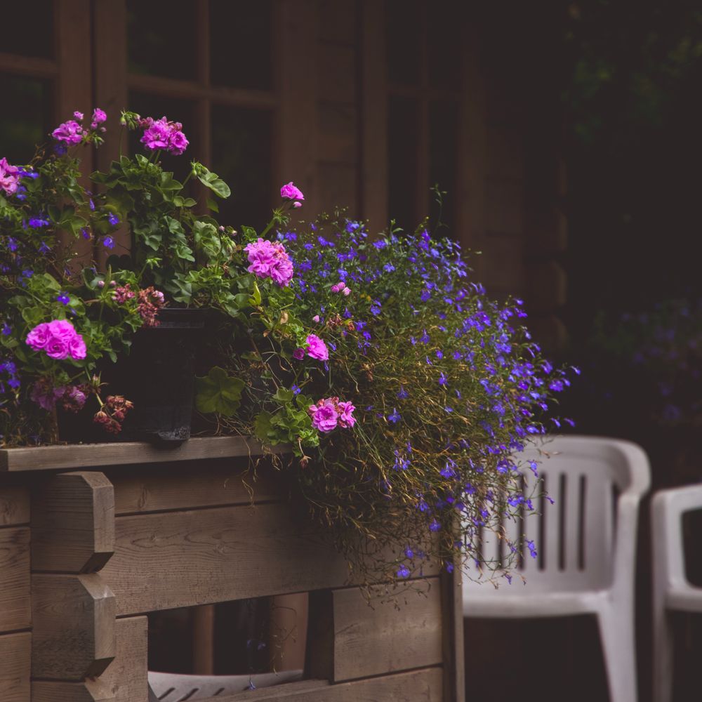 Fence and Decking Painting in Archway — a freshly painted, spotless finish