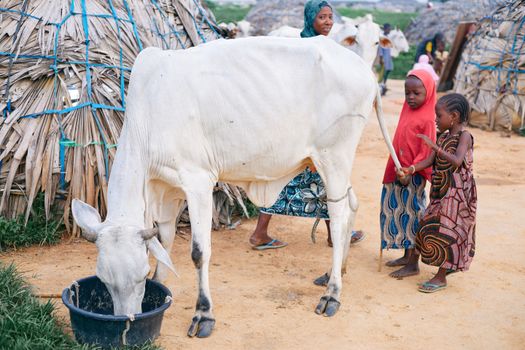 Children with a cow in a rural village, showcasing cultural lifestyle.