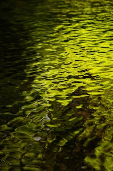 Calm and peaceful river reflecting lush green foliage. Perfect for conveying tranquility and nature's beauty.