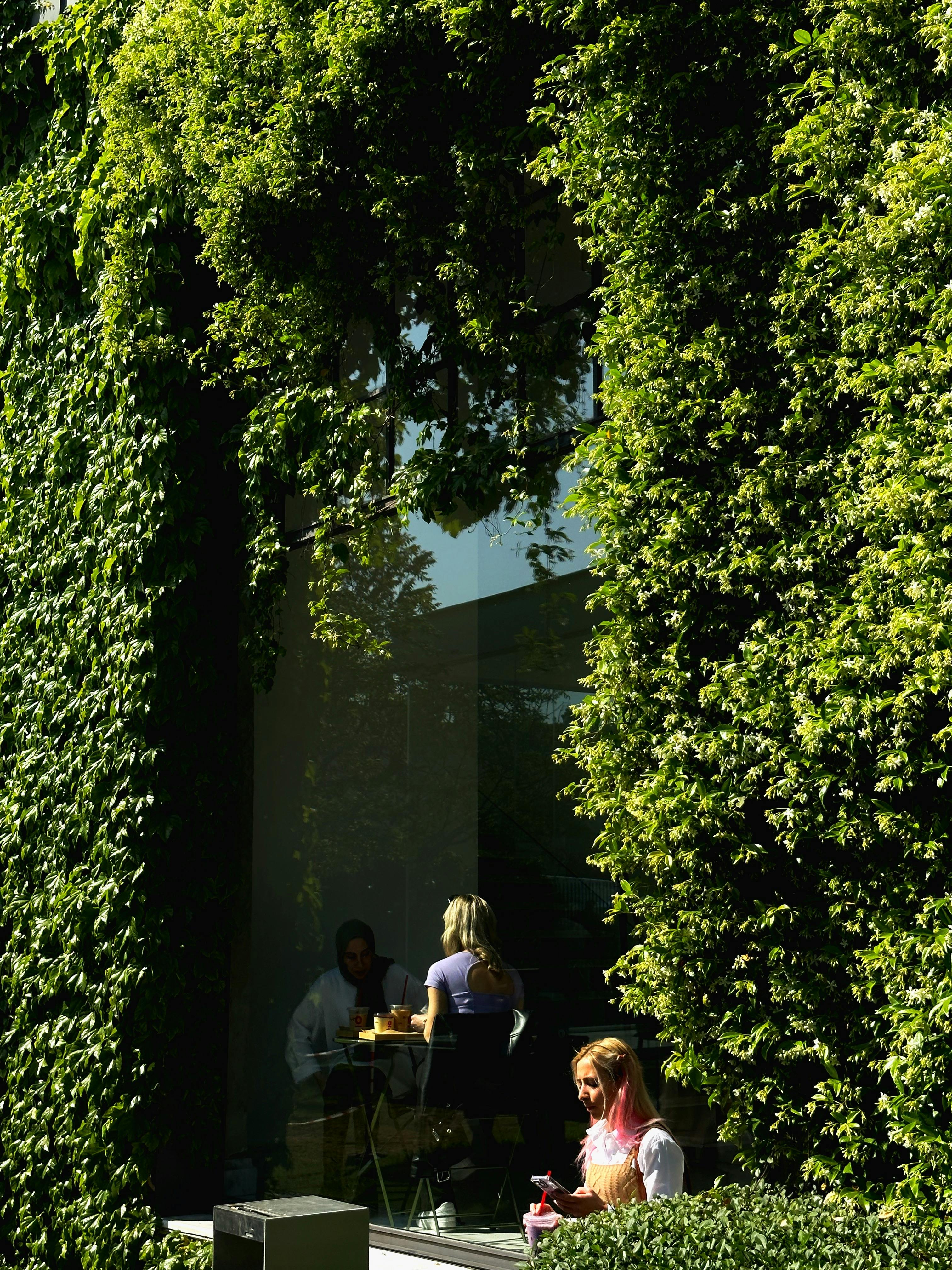 People enjoying coffee inside a café with ivy-covered walls, creating a serene atmosphere.