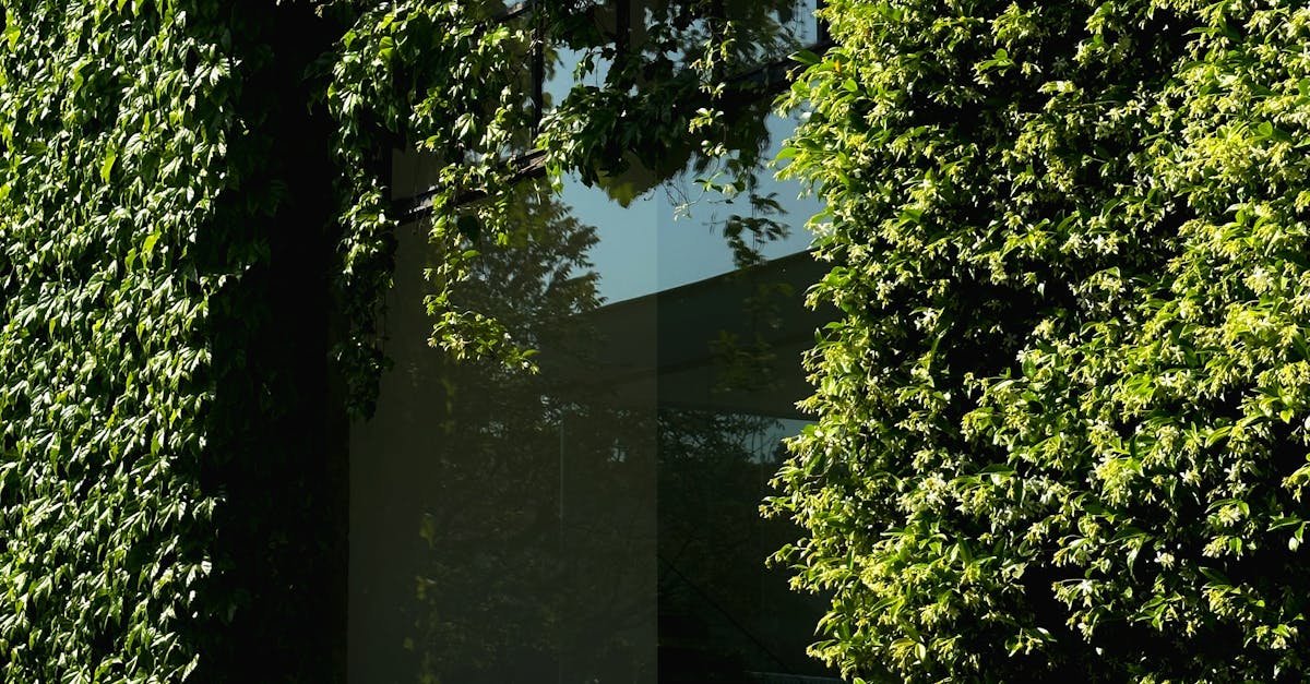 People enjoying coffee inside a café with ivy-covered walls, creating a serene atmosphere.
