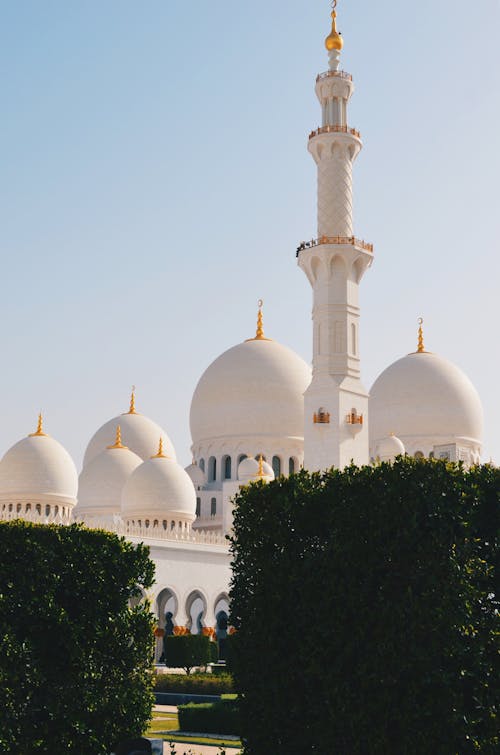 green mosque wallpaper