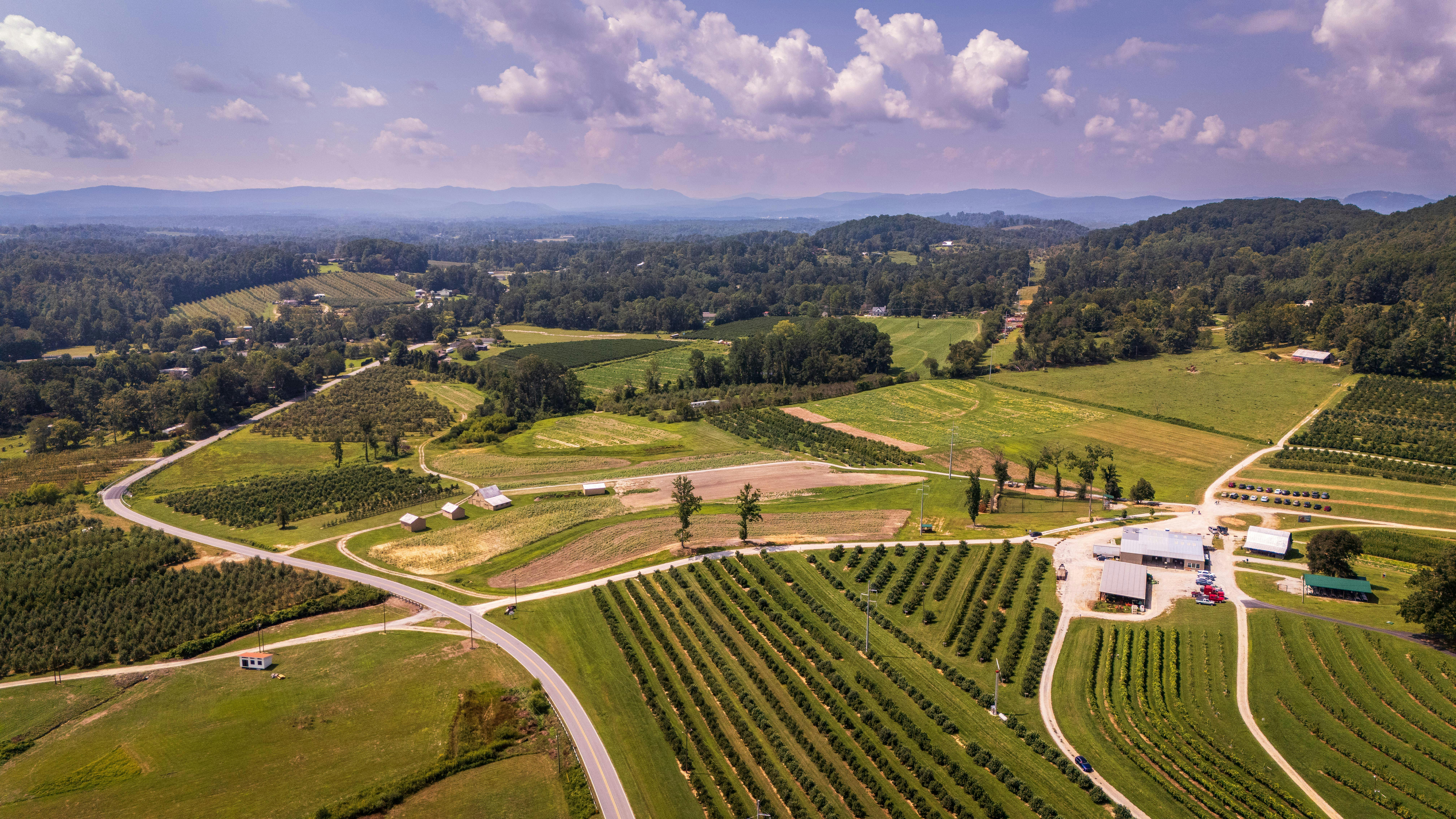 高雄農村躍上國際舞台 菲律賓推廣一日農夫體驗超吸睛