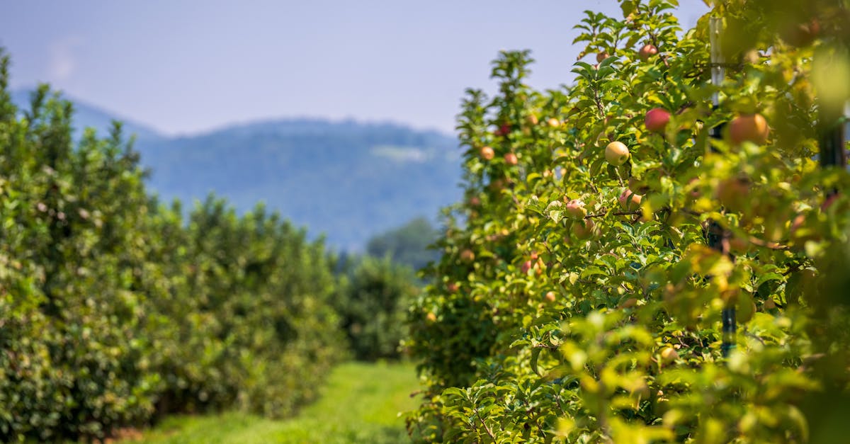 台大哲宇推動 OKR 實踐環保綠生活 助力永續未來